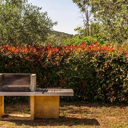 Glicine - Colleberto Farm stay
