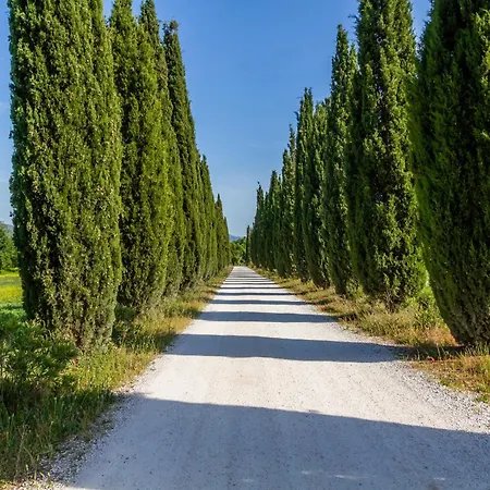 Farm stay Glicine - Colleberto *